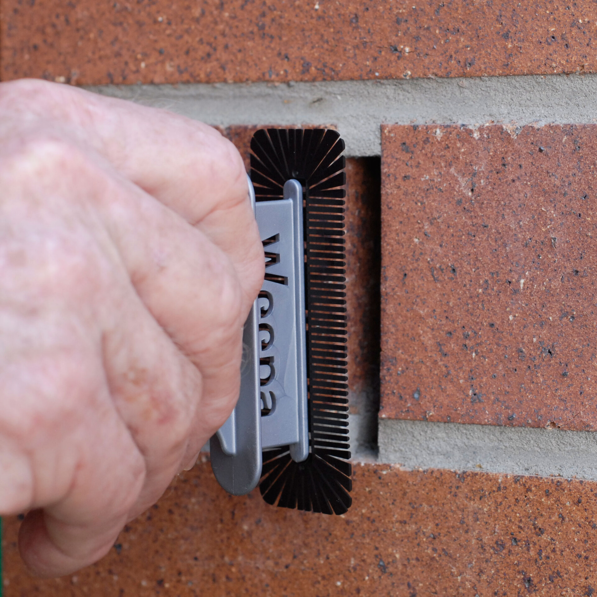 Termite protector in wall